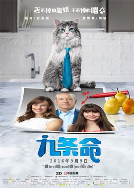 亚洲精品在线网